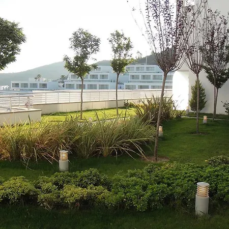Penthouse Orange Grove *
